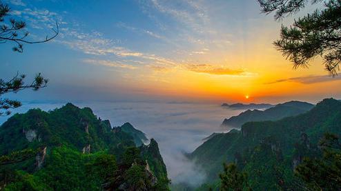 張家界森林公園（金鞭溪、袁家界、楊家界、天子山、十里畫廊）住山上2天1游（可看日出）
